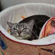 ヒメ日記 2026/02/27 20:52 投稿 高山 誘惑マル秘ミセス