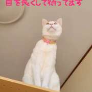 ヒメ日記 2026/02/28 13:10 投稿 高山 誘惑マル秘ミセス