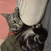 ヒメ日記 2026/02/28 21:37 投稿 高山 誘惑マル秘ミセス