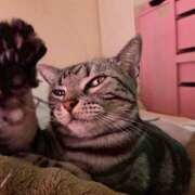 ヒメ日記 2026/03/01 11:39 投稿 高山 誘惑マル秘ミセス