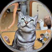 ヒメ日記 2026/03/03 18:42 投稿 高山 誘惑マル秘ミセス