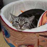 ヒメ日記 2026/03/04 08:30 投稿 高山 誘惑マル秘ミセス