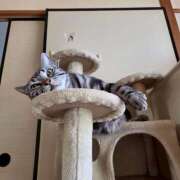 ヒメ日記 2026/03/04 20:55 投稿 高山 誘惑マル秘ミセス