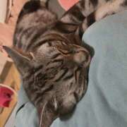 ヒメ日記 2026/03/06 12:55 投稿 高山 誘惑マル秘ミセス