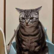 ヒメ日記 2026/03/07 08:15 投稿 高山 誘惑マル秘ミセス