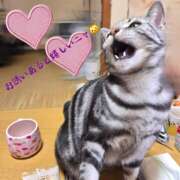 ヒメ日記 2026/03/08 19:08 投稿 高山 誘惑マル秘ミセス