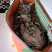 ヒメ日記 2026/03/10 18:30 投稿 高山 誘惑マル秘ミセス