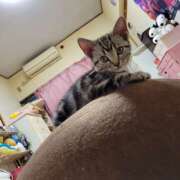 ヒメ日記 2026/03/11 18:34 投稿 高山 誘惑マル秘ミセス