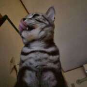 高山 お疲れ様です˶˙ᵕ˙ )ﾉﾞ 誘惑マル秘ミセス