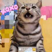 ヒメ日記 2026/03/15 14:15 投稿 高山 誘惑マル秘ミセス