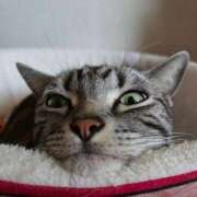 ヒメ日記 2026/03/17 10:24 投稿 高山 誘惑マル秘ミセス