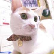 ヒメ日記 2026/03/17 11:14 投稿 高山 誘惑マル秘ミセス