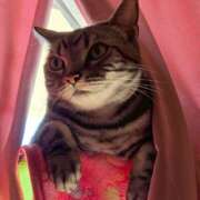 ヒメ日記 2026/03/18 08:12 投稿 高山 誘惑マル秘ミセス