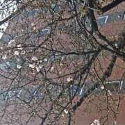 ヒメ日記 2026/03/19 13:38 投稿 高山 誘惑マル秘ミセス