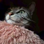 ヒメ日記 2026/03/19 22:09 投稿 高山 誘惑マル秘ミセス