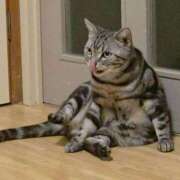 ヒメ日記 2026/03/21 08:56 投稿 高山 誘惑マル秘ミセス