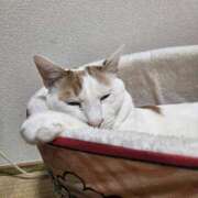 ヒメ日記 2026/03/22 09:01 投稿 高山 誘惑マル秘ミセス