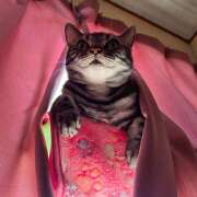 ヒメ日記 2026/03/23 10:30 投稿 高山 誘惑マル秘ミセス