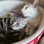 ヒメ日記 2026/03/28 06:45 投稿 高山 誘惑マル秘ミセス