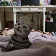 ヒメ日記 2026/03/31 08:55 投稿 高山 誘惑マル秘ミセス