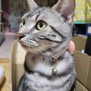 ヒメ日記 2026/04/01 11:53 投稿 高山 誘惑マル秘ミセス