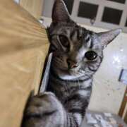 ヒメ日記 2026/04/05 07:03 投稿 高山 誘惑マル秘ミセス