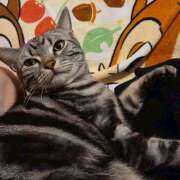 ヒメ日記 2026/04/06 15:41 投稿 高山 誘惑マル秘ミセス