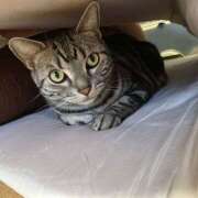 ヒメ日記 2026/04/07 08:32 投稿 高山 誘惑マル秘ミセス