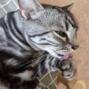 ヒメ日記 2026/04/11 10:00 投稿 高山 誘惑マル秘ミセス