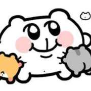 ヒメ日記 2025/09/28 12:27 投稿 星野　ひより 松山回春性感エステオールスターズ