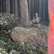 ヒメ日記 2026/03/09 14:07 投稿 星野　ひより 松山回春性感エステオールスターズ