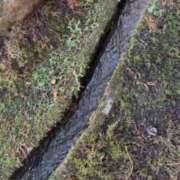 ヒメ日記 2026/03/15 02:07 投稿 星野　ひより 松山回春性感エステオールスターズ