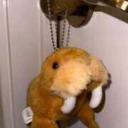 ヒメ日記 2026/04/12 16:57 投稿 星野　ひより 松山回春性感エステオールスターズ