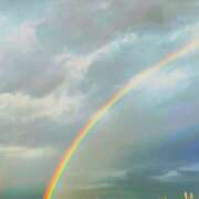 あおい 虹🌈 池袋夢幻