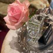 ヒメ日記 2025/12/19 11:55 投稿 あおい 池袋夢幻