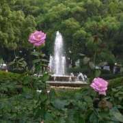 ヒメ日記 2025/07/03 07:20 投稿 愛香(あいか) エッチな熟女(広島)