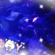 ヒメ日記 2025/06/20 15:30 投稿 緑川　看護師 うちの看護師にできることと言ったら・・・in渋谷KANGO