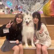 ヒメ日記 2025/11/22 23:02 投稿 ノエル ムーランルージュ