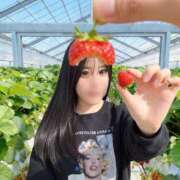 ヒメ日記 2026/04/08 17:49 投稿 ノエル ムーランルージュ