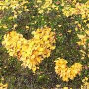 ヒメ日記 2026/04/15 14:40 投稿 田村 ママの婚活 CHIBA