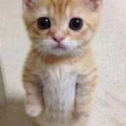 ヒメ日記 2026/02/24 13:35 投稿 つぼみ ぷるるんギャング