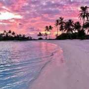 ヒメ日記 2026/03/31 18:02 投稿 あやせワン Three＆Men’s Spa 諏訪