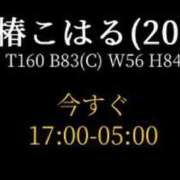 ヒメ日記 2024/01/07 02:16 投稿 椿こはる 奴隷志願！変態調教飼育クラブ本店