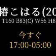 ヒメ日記 2024/01/08 03:07 投稿 椿こはる 奴隷志願！変態調教飼育クラブ本店