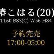 ヒメ日記 2024/01/09 04:53 投稿 椿こはる 奴隷志願！変態調教飼育クラブ本店