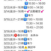 ヒメ日記 2025/03/06 12:17 投稿 めいこ ハピネス東京