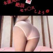 ヒメ日記 2025/04/03 11:49 投稿 めいこ ハピネス東京