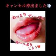 ヒメ日記 2025/04/09 16:09 投稿 めいこ ハピネス東京