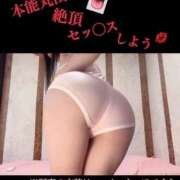 ヒメ日記 2025/04/11 06:27 投稿 めいこ ハピネス東京