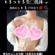 ヒメ日記 2025/04/11 08:27 投稿 めいこ ハピネス東京